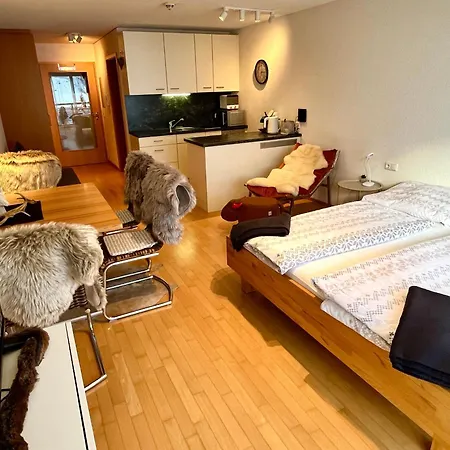 公寓 Sonniges Bergblick-appartement *