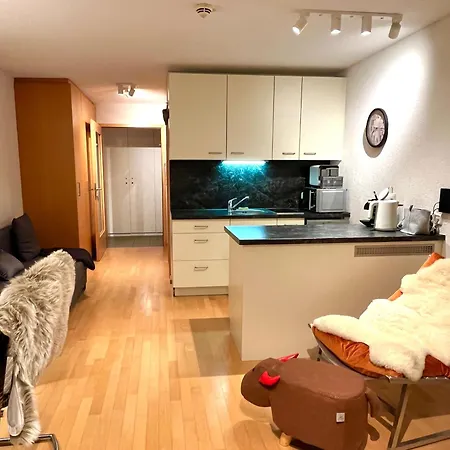 公寓 Sonniges Bergblick-appartement